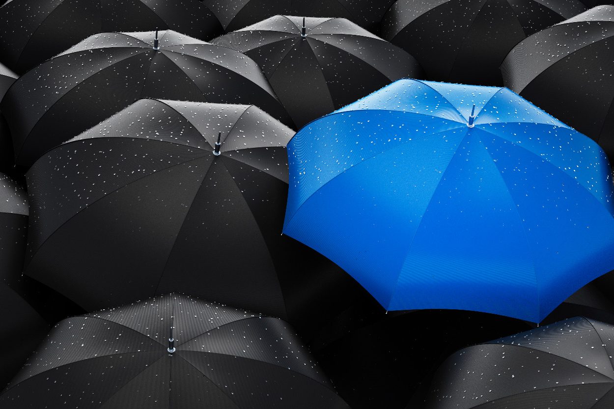 Security Portfolio Security Portfolio